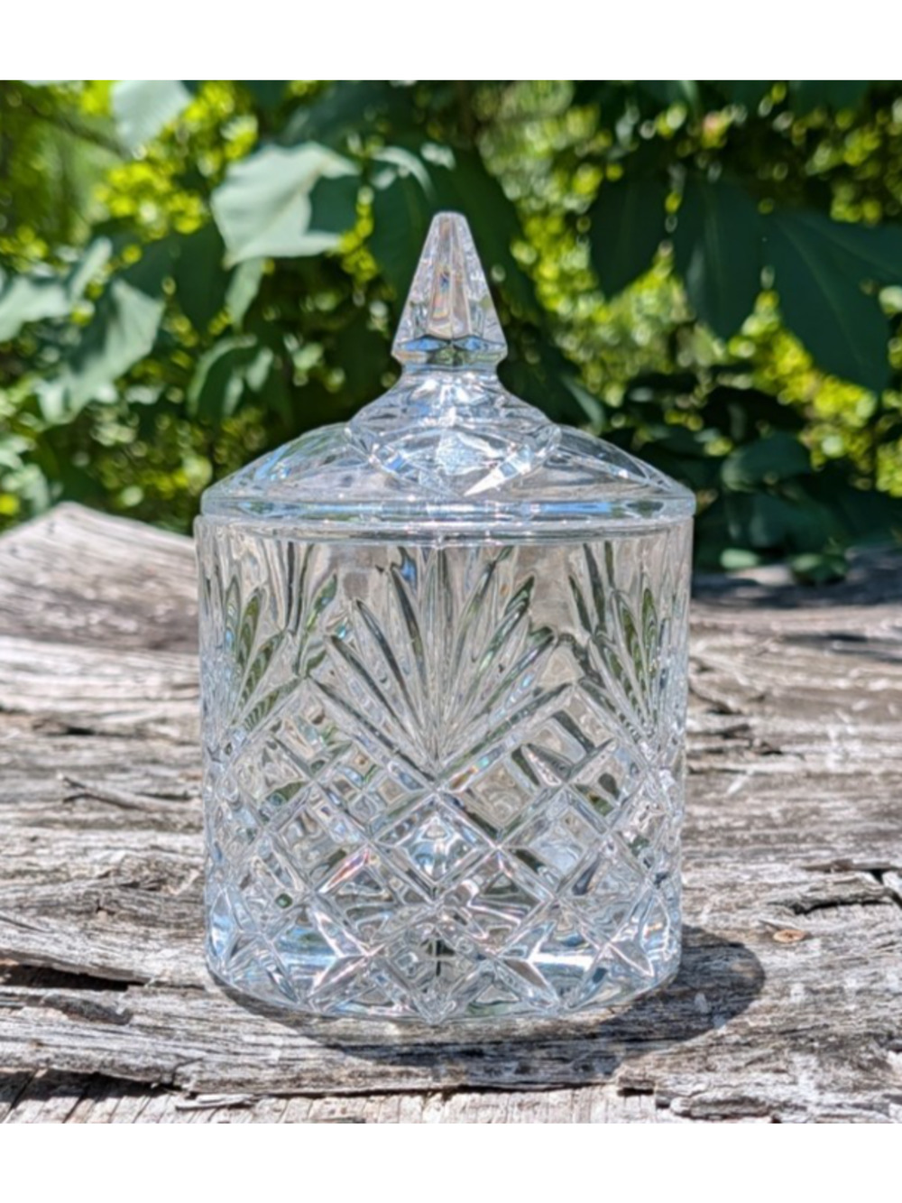 Alois Michl Bohemian Lead Crystal Covered Candy Dish Jar Czech 7.75" Vintage